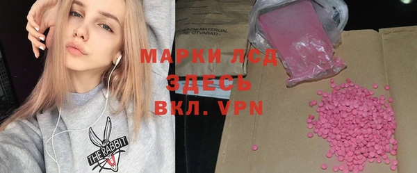 прущие грибы Абинск