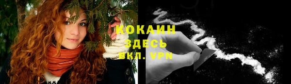 прущие грибы Абинск