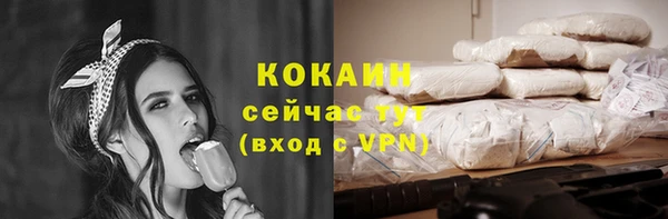 прущие грибы Абинск