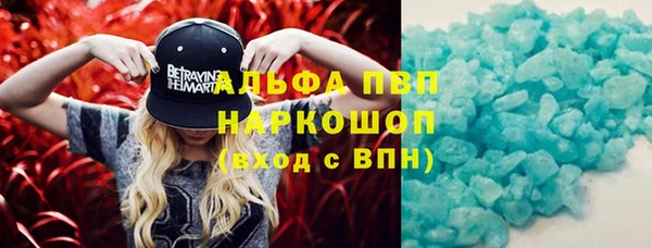 прущие грибы Абинск