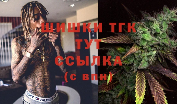 прущие грибы Абинск