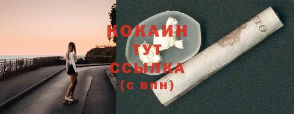 прущие грибы Абинск