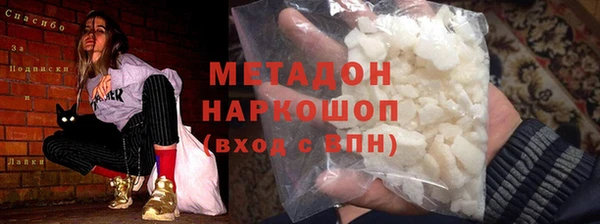 прущие грибы Абинск