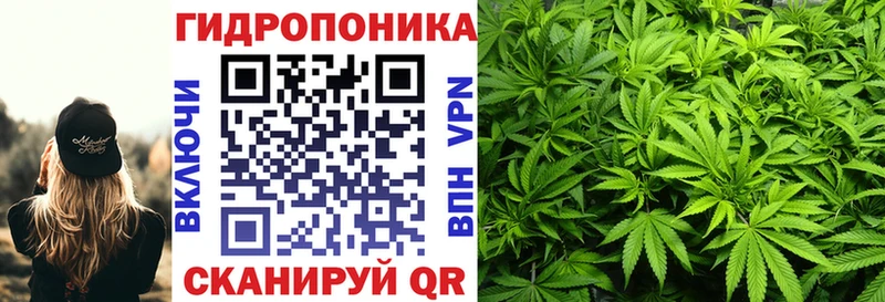 Бошки марихуана Ganja Алагир